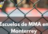 Las 5 Mejores Escuelas de MMA en Monterrey Las 5 mejores escuelas de mma en monterrey