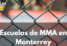 Las 5 Mejores Escuelas de MMA en Monterrey Las 5 mejores escuelas de mma en monterrey