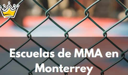 Las 5 mejores escuelas de mma en monterrey