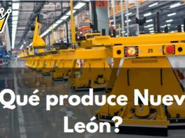 que produce nuevo león